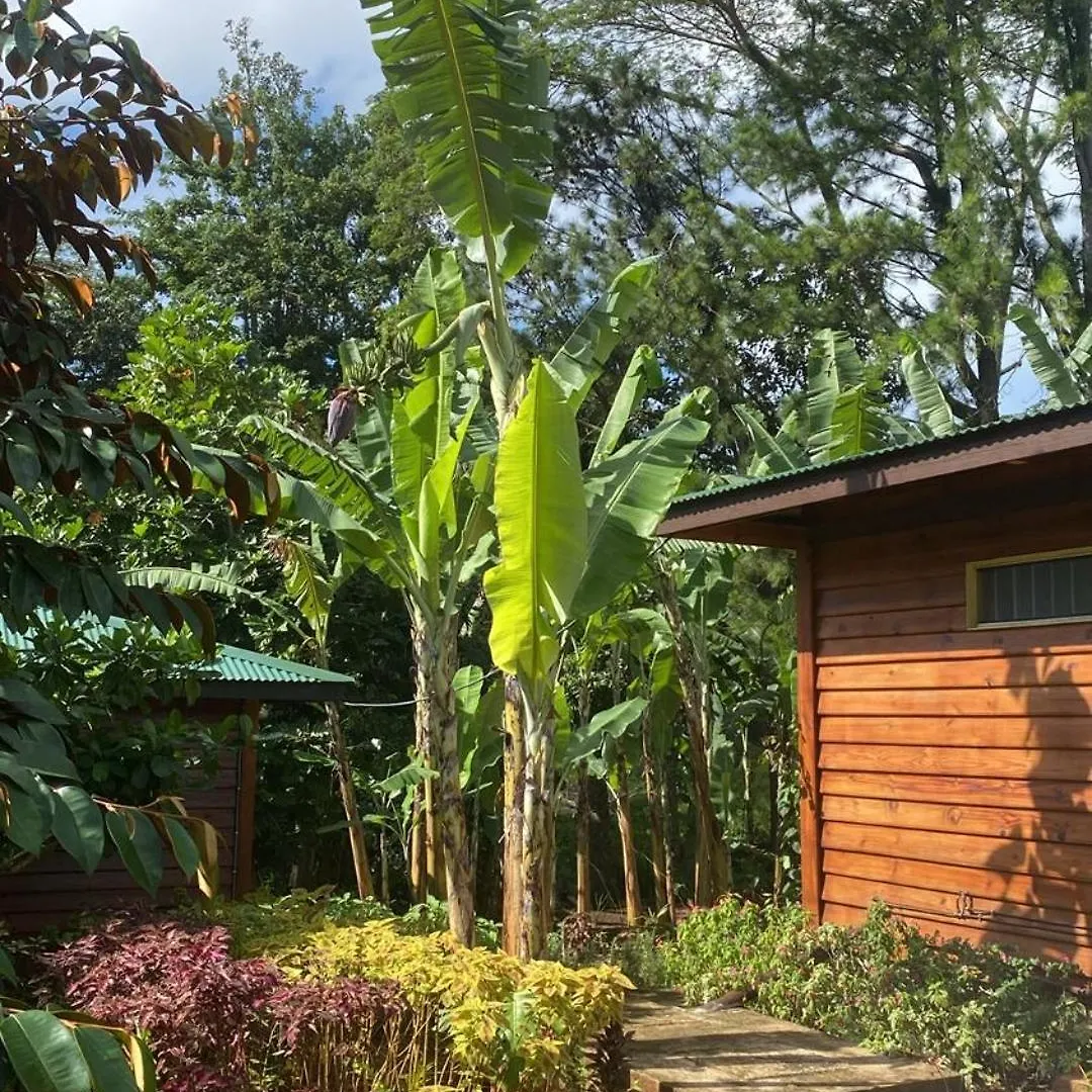 Fare Tamaruorai Villa Mataura French Polynesia