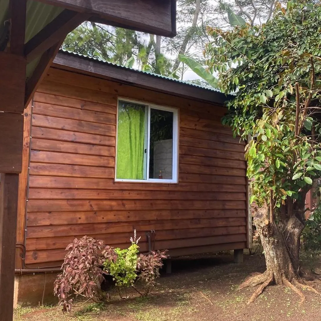 Fare Tamaruorai Villa Mataura